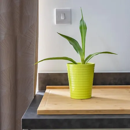 Wild Thyme - By Solea Homes San Ġwann