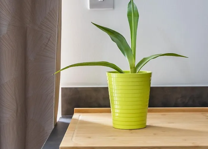 Wild Thyme - By Solea Homes San Ġwann